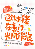 退休大佬在豪门兴风作浪晋江